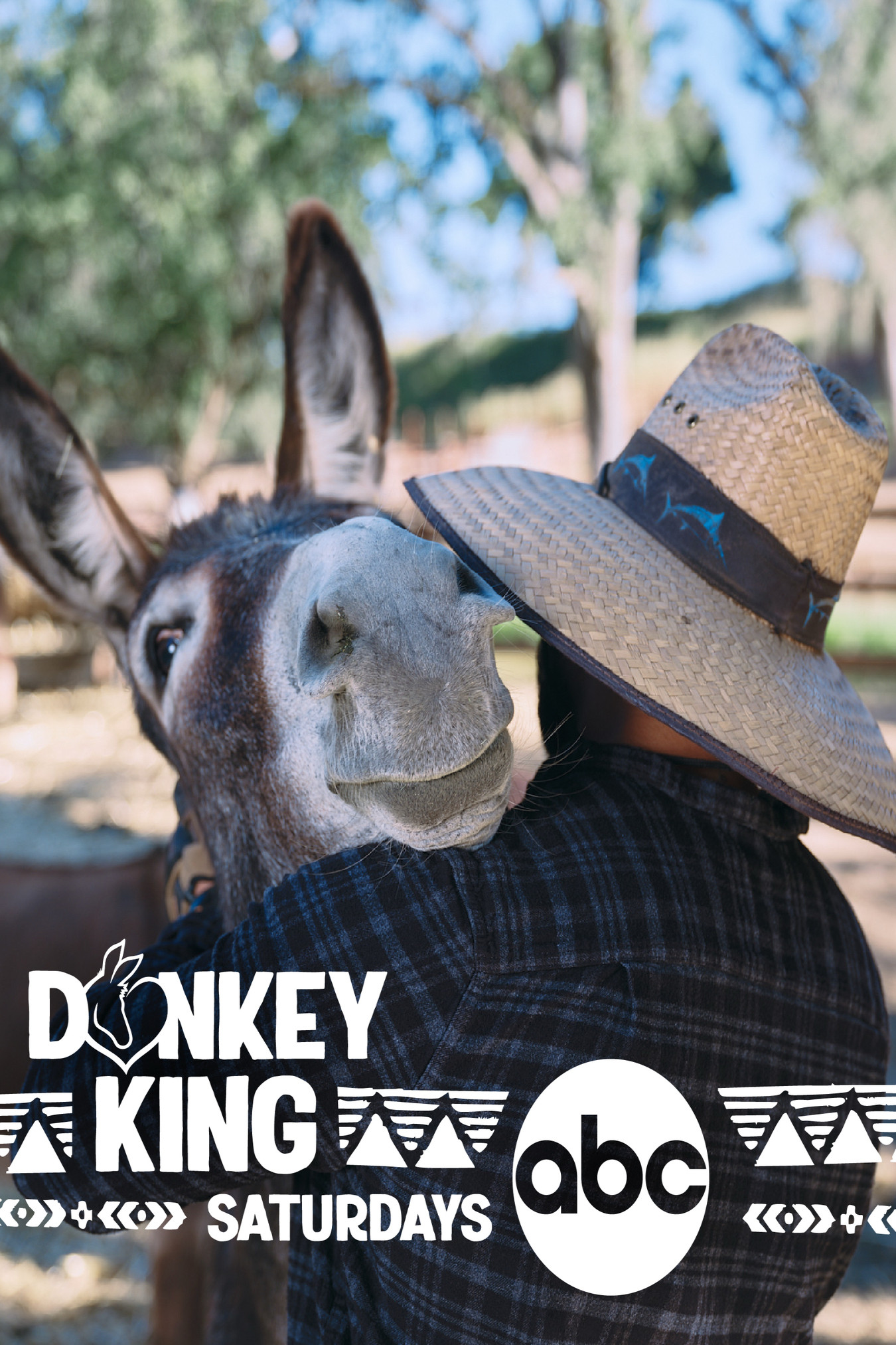Donkey King