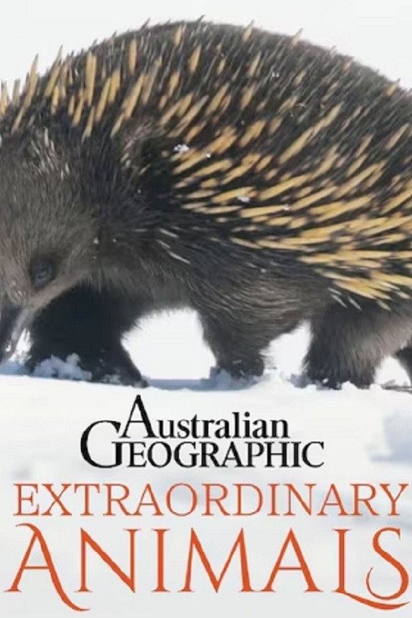 Extraordinary Animals (2025)