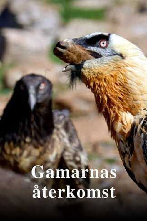 Return of the Vultures