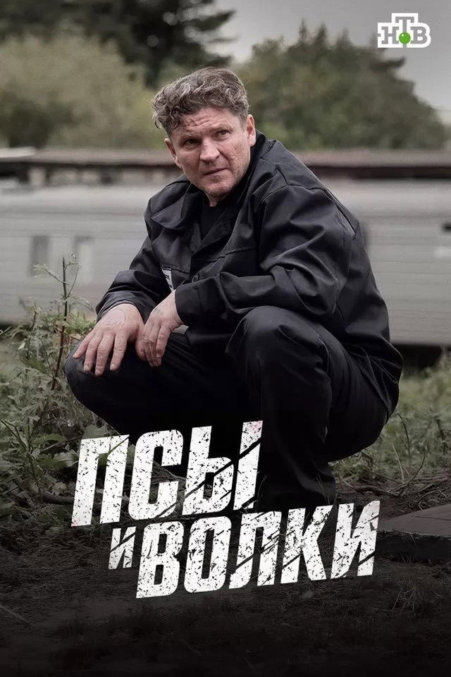 Николай Васильевич (Червонец)