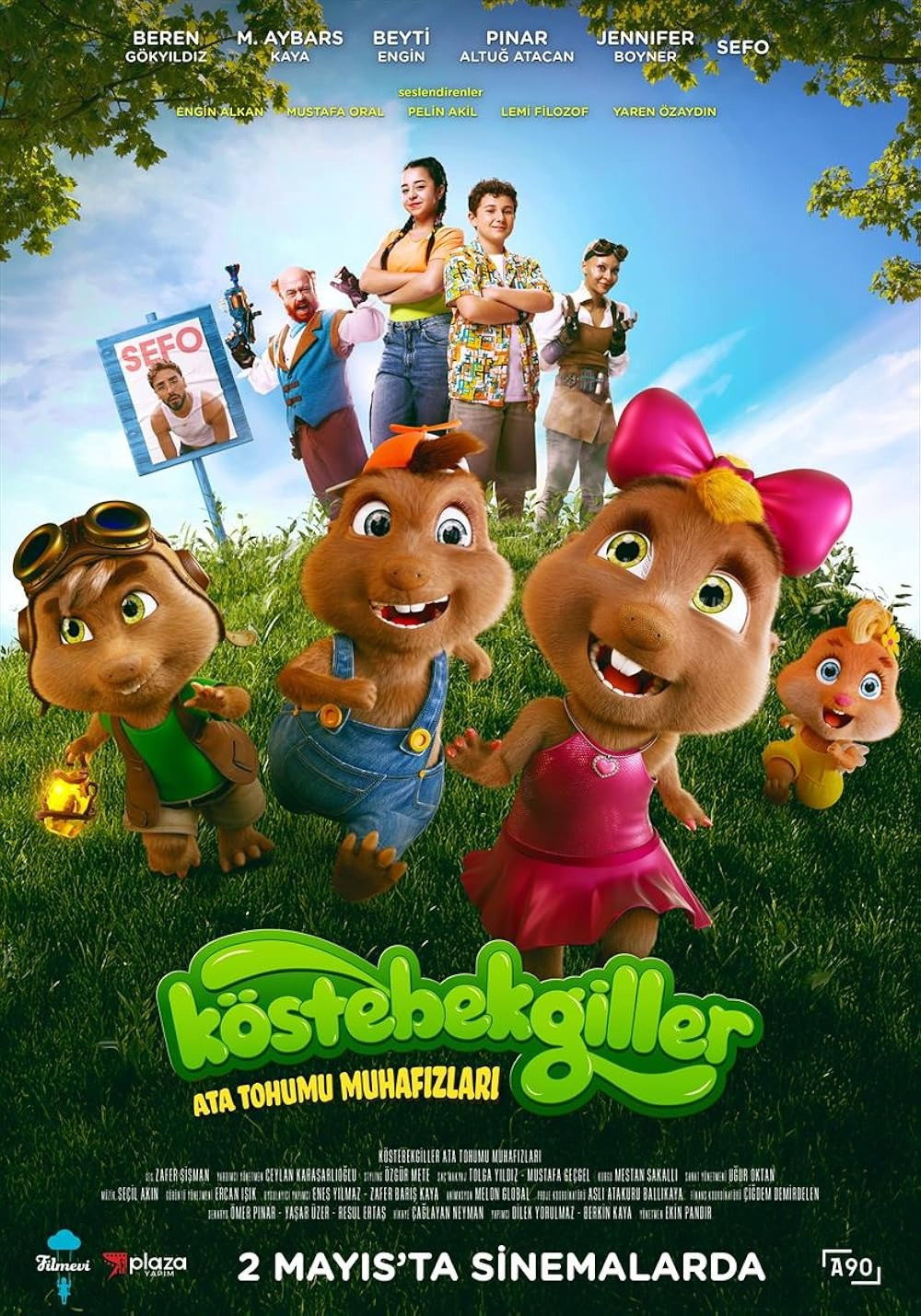 Köstebekgiller: Güneş Günlüğü