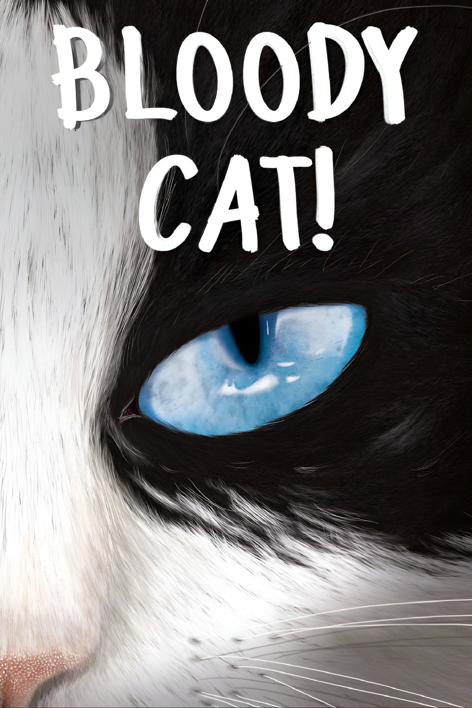 Putain de chat !