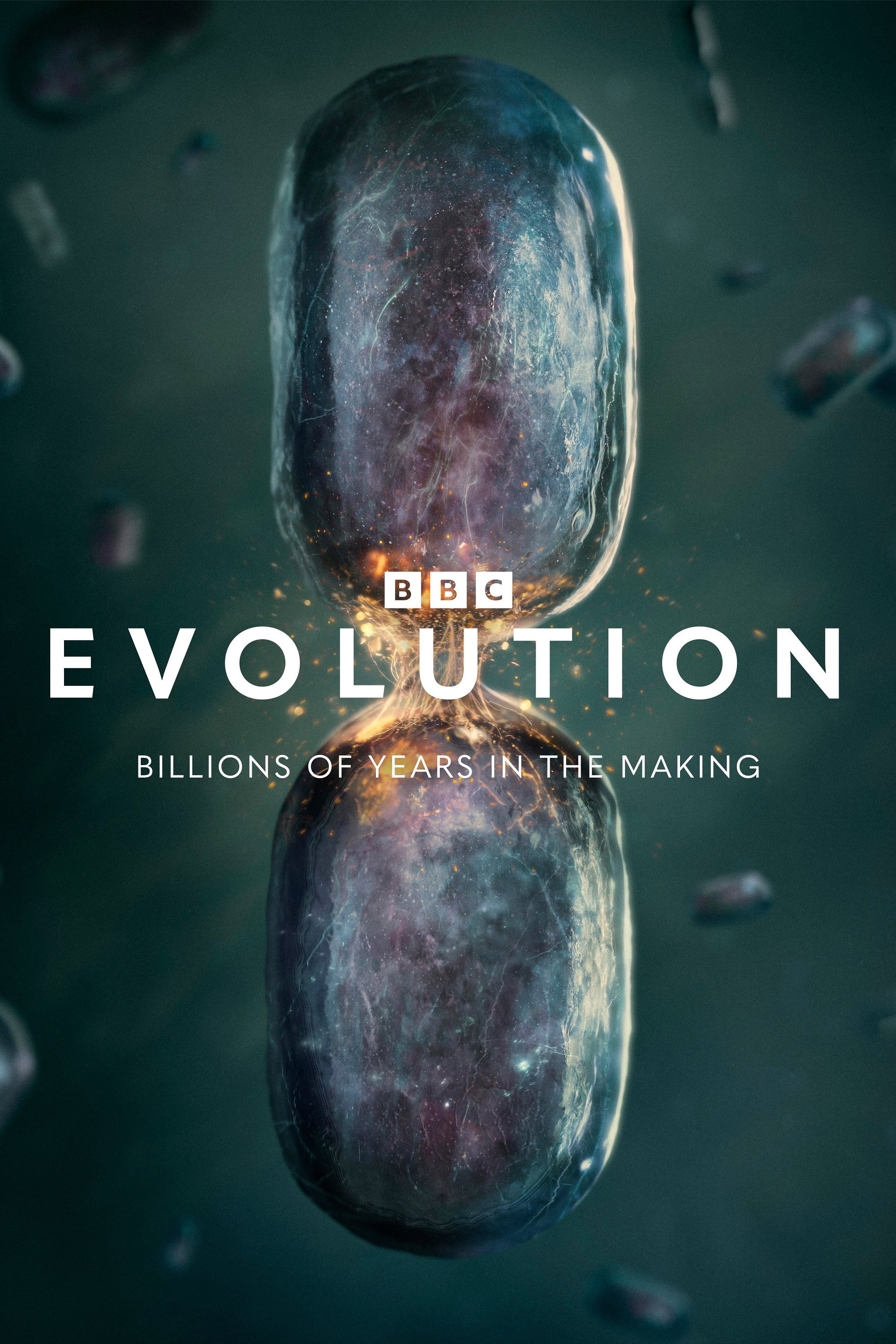 Evolution