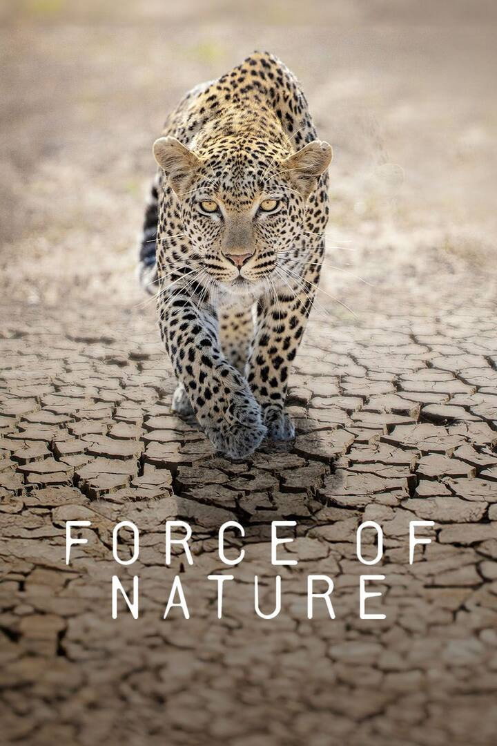 Force of Nature