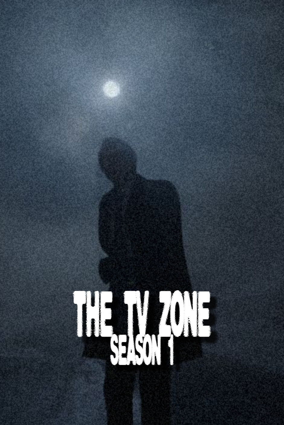 The TV Zone