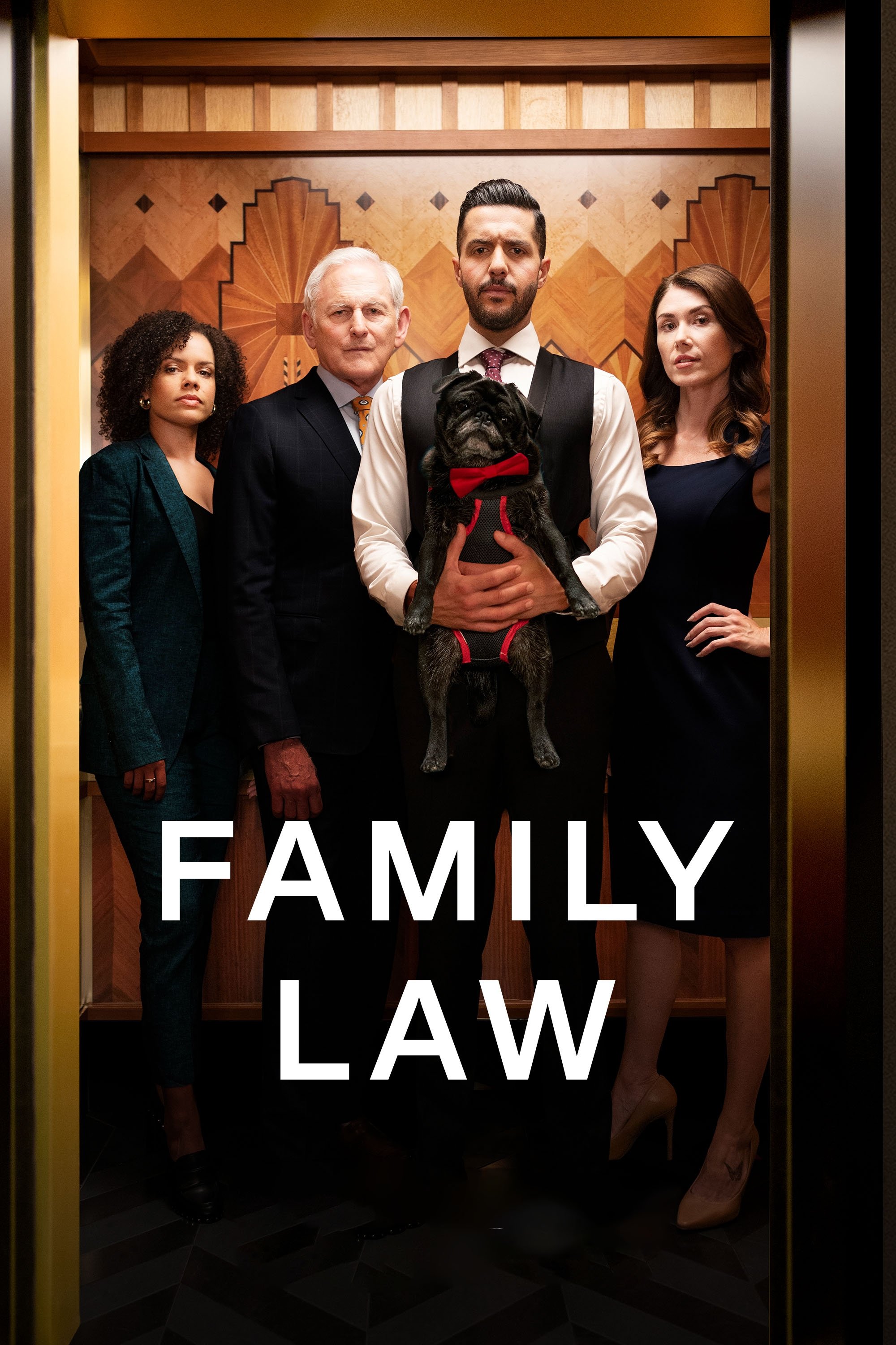 Casos de familia