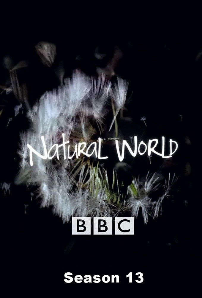 Mundo Natural