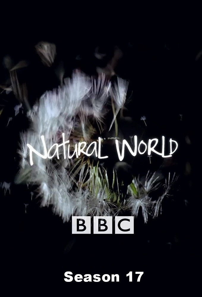 Mundo Natural