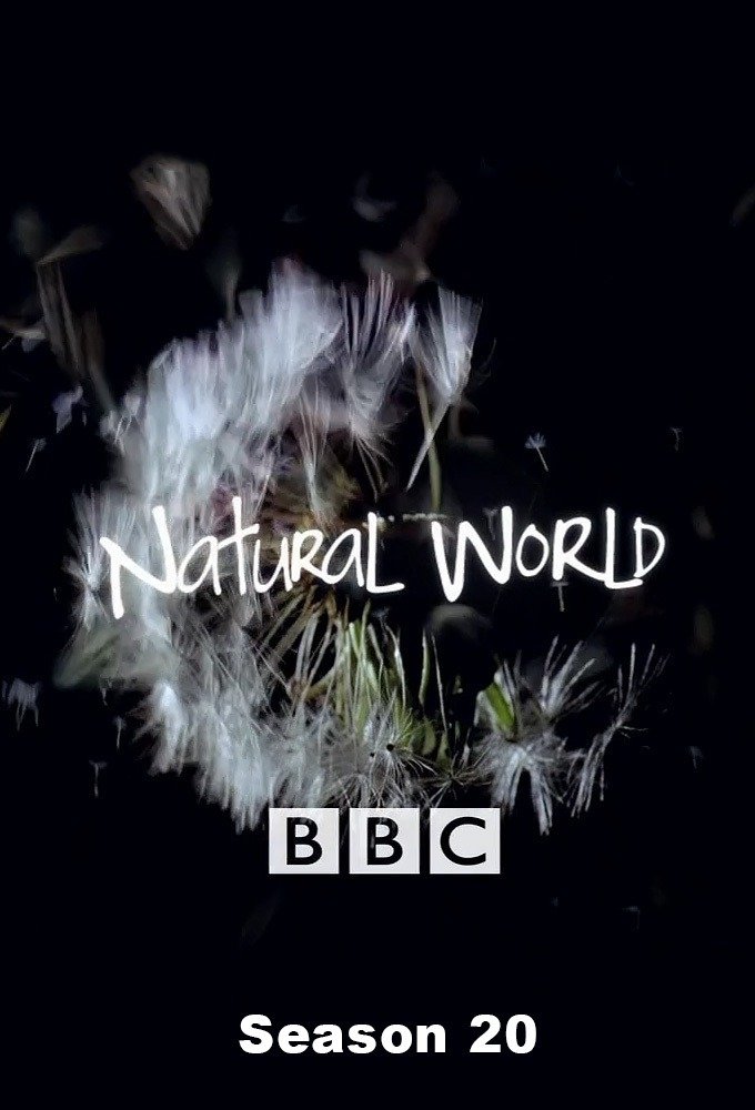 Mundo Natural