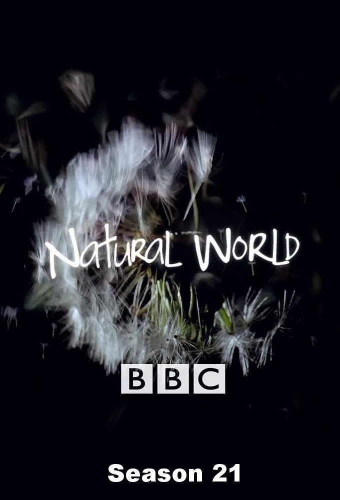 Mundo Natural