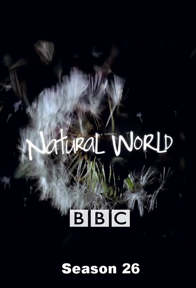 Mundo Natural