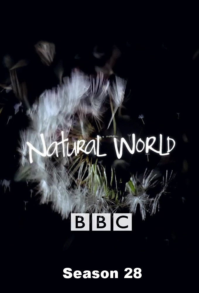 Mundo Natural
