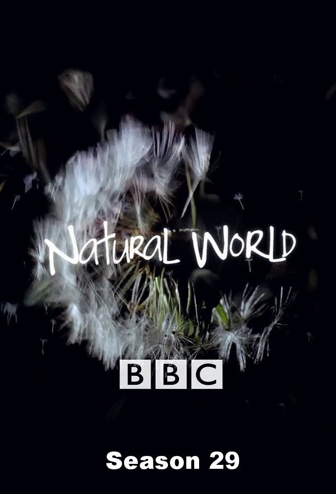Mundo Natural