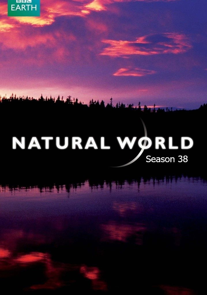 Mundo Natural