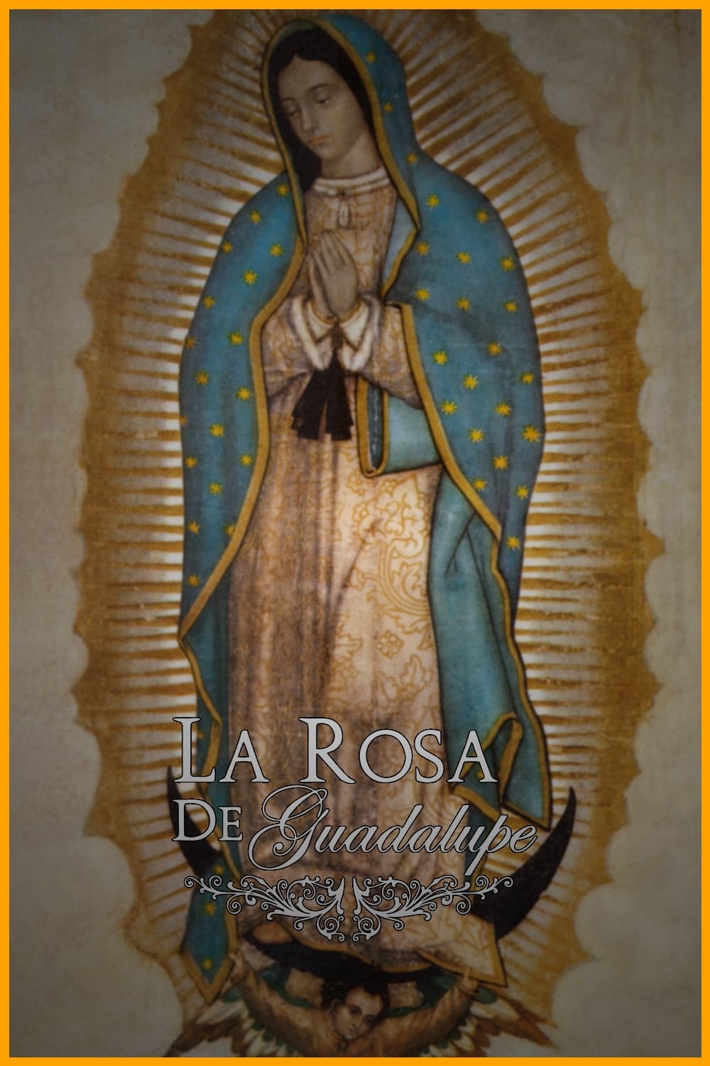 La rosa de Guadalupe