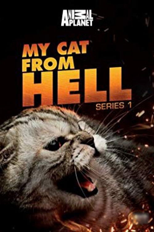 El encantador de gatos
