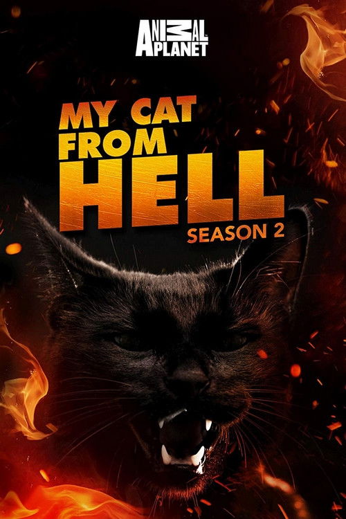 El encantador de gatos