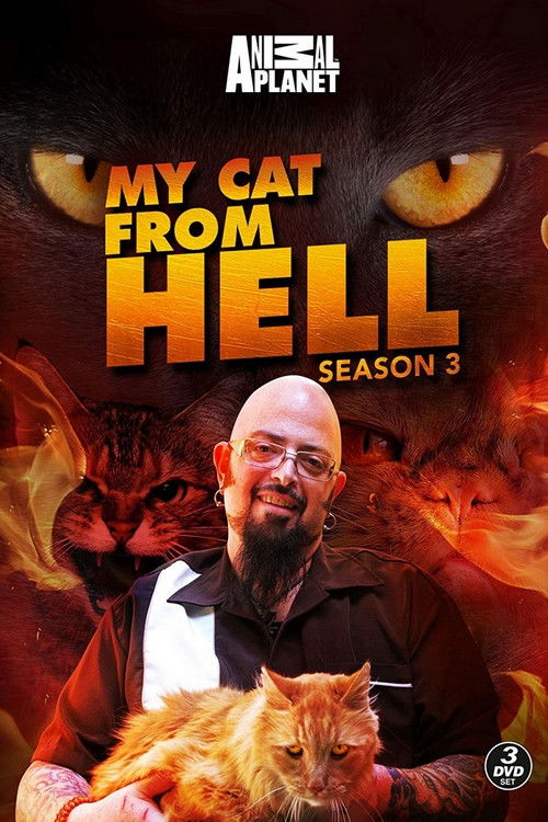 El encantador de gatos