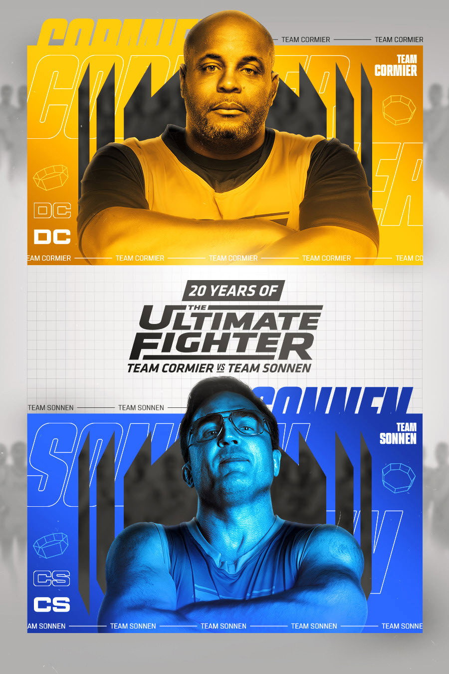 The Ultimate Fighter
