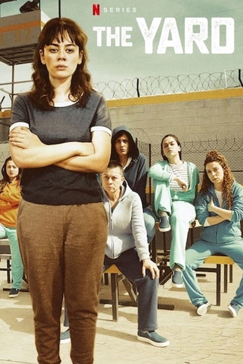 Avlu: El patio