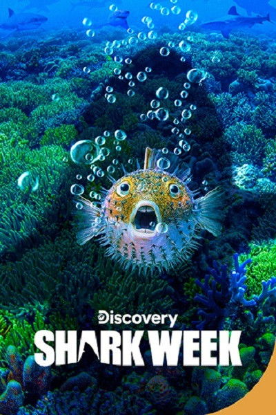 Shark Week