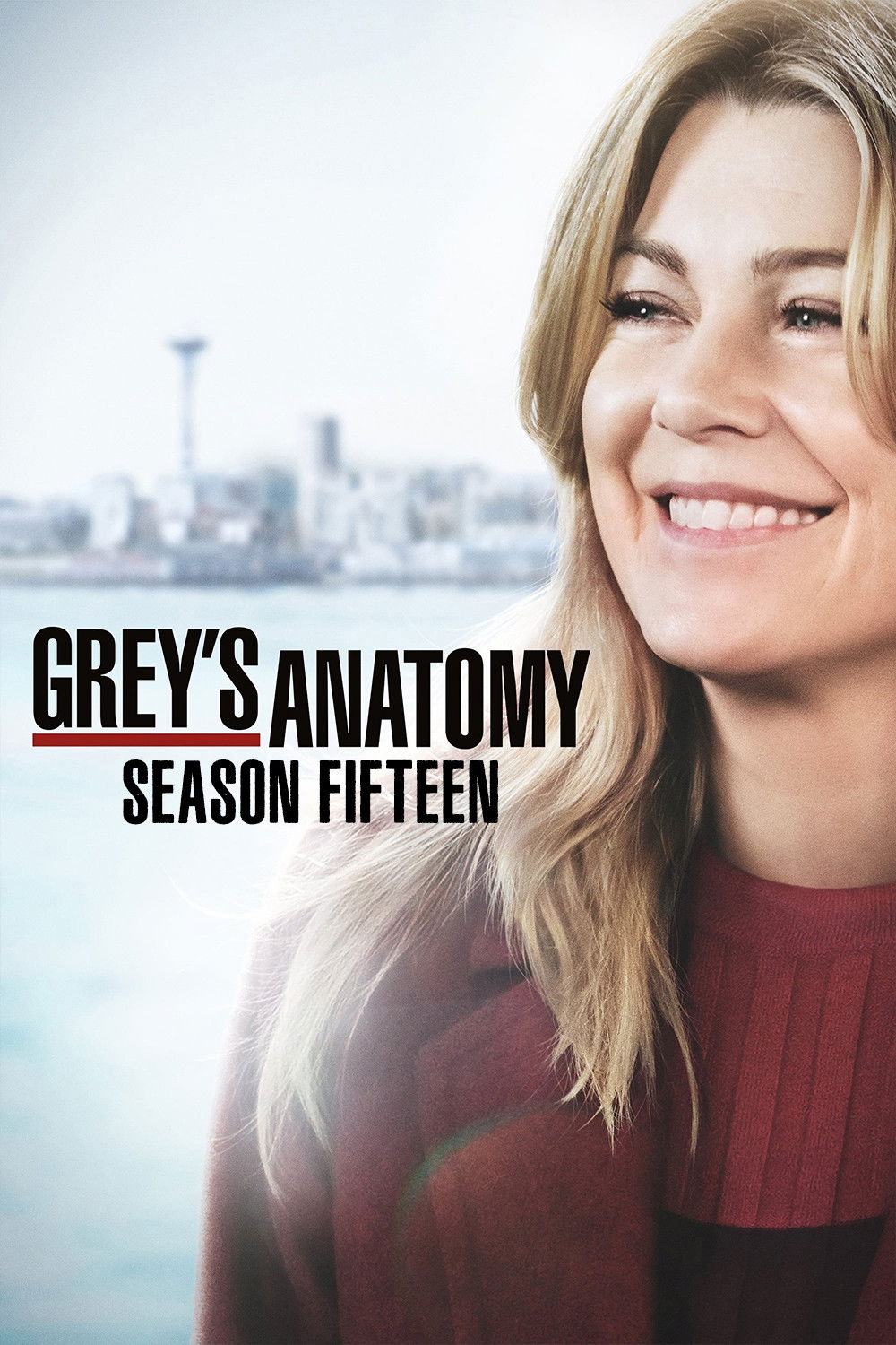 Anatomía de Grey