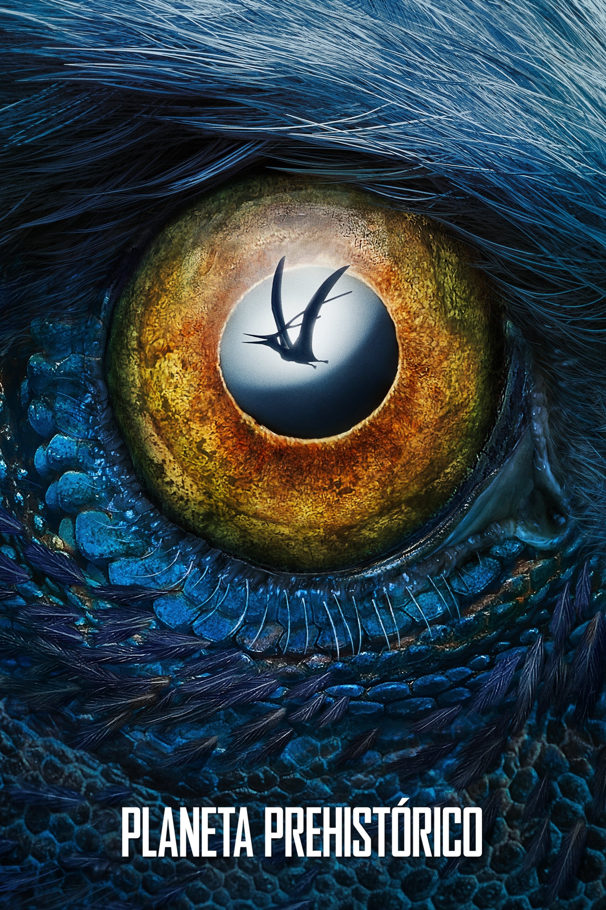 Entrevista/aparición