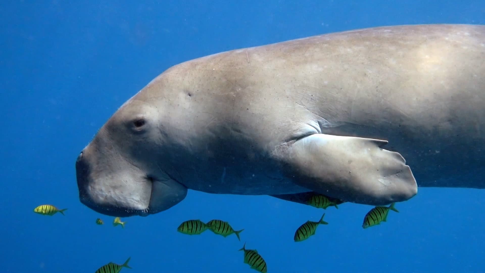 Estación de Limpieza