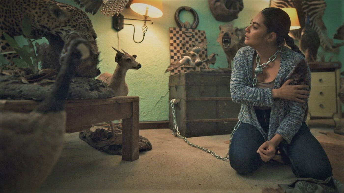 Imagen de la serie