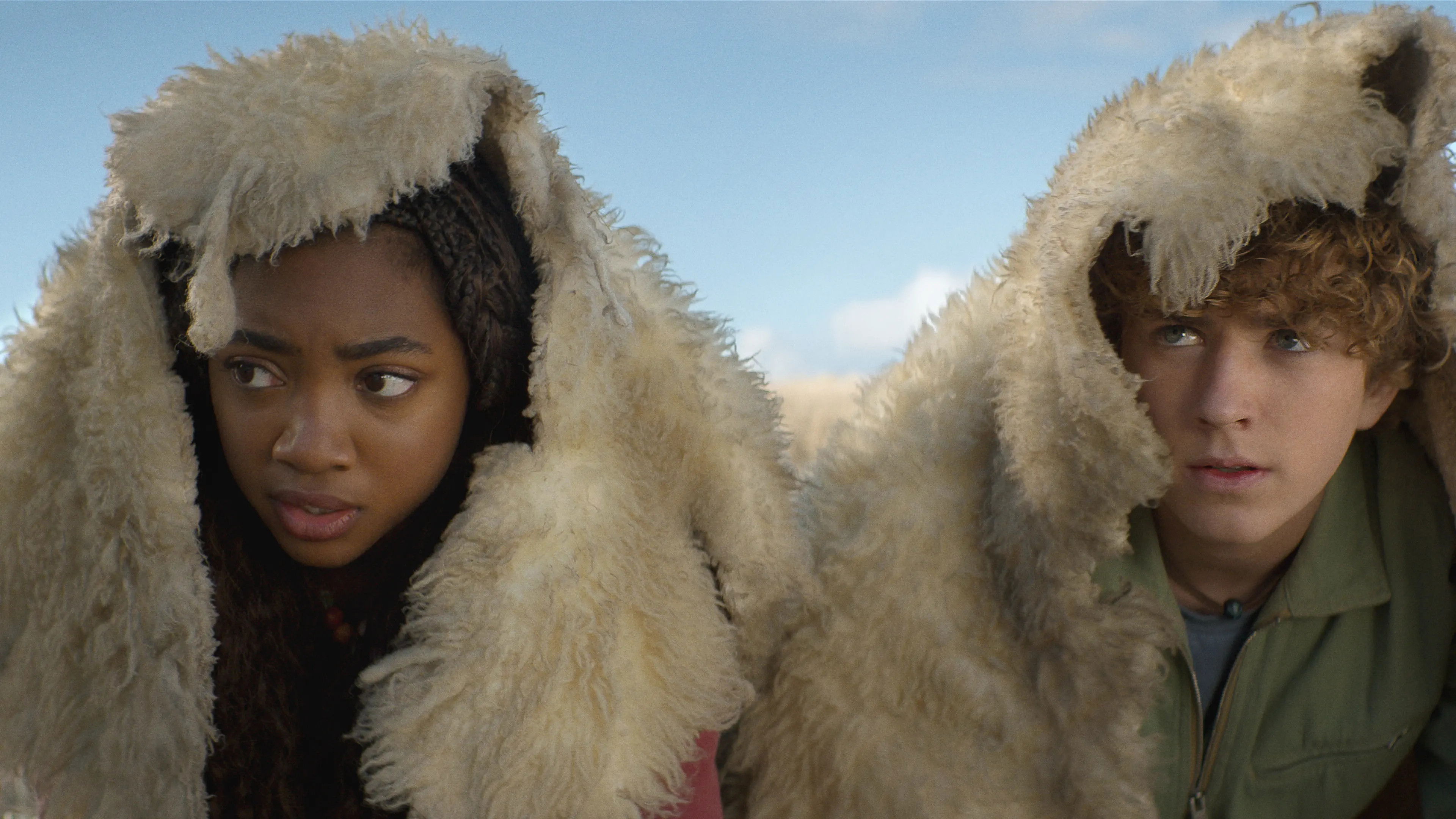 Nadie consigue la lana