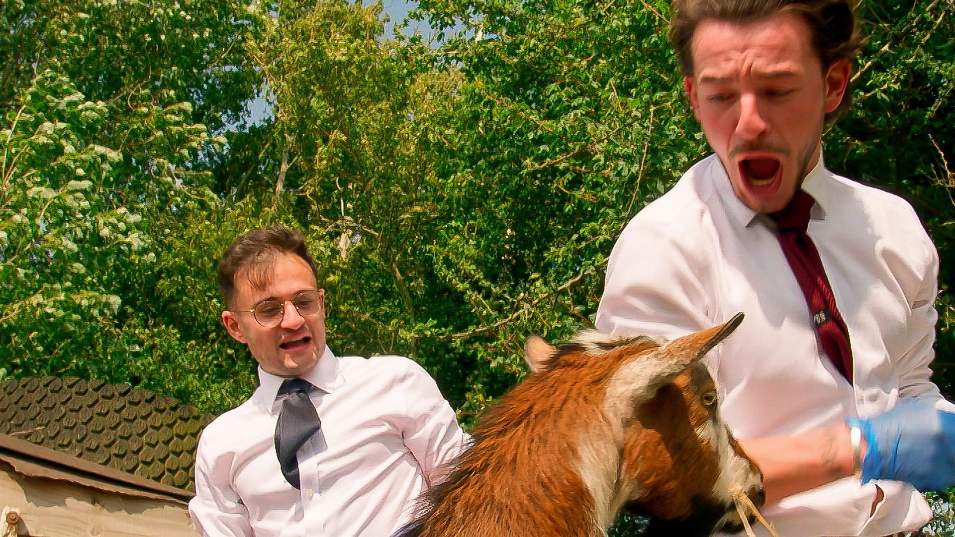 Compras con descuento: Segunda parte