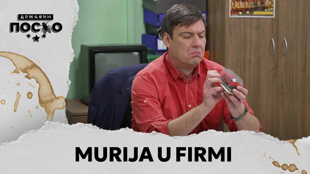 22 Šta je novosadski