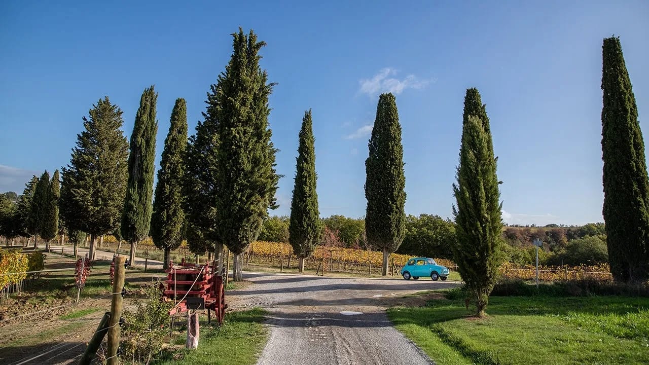 "Renaissance" Anniversary-Season Episode 1