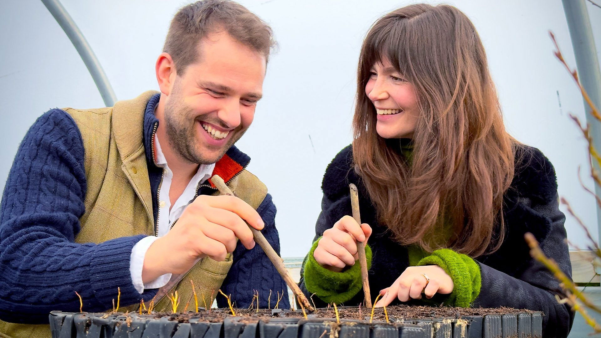 Needle in a Haystack