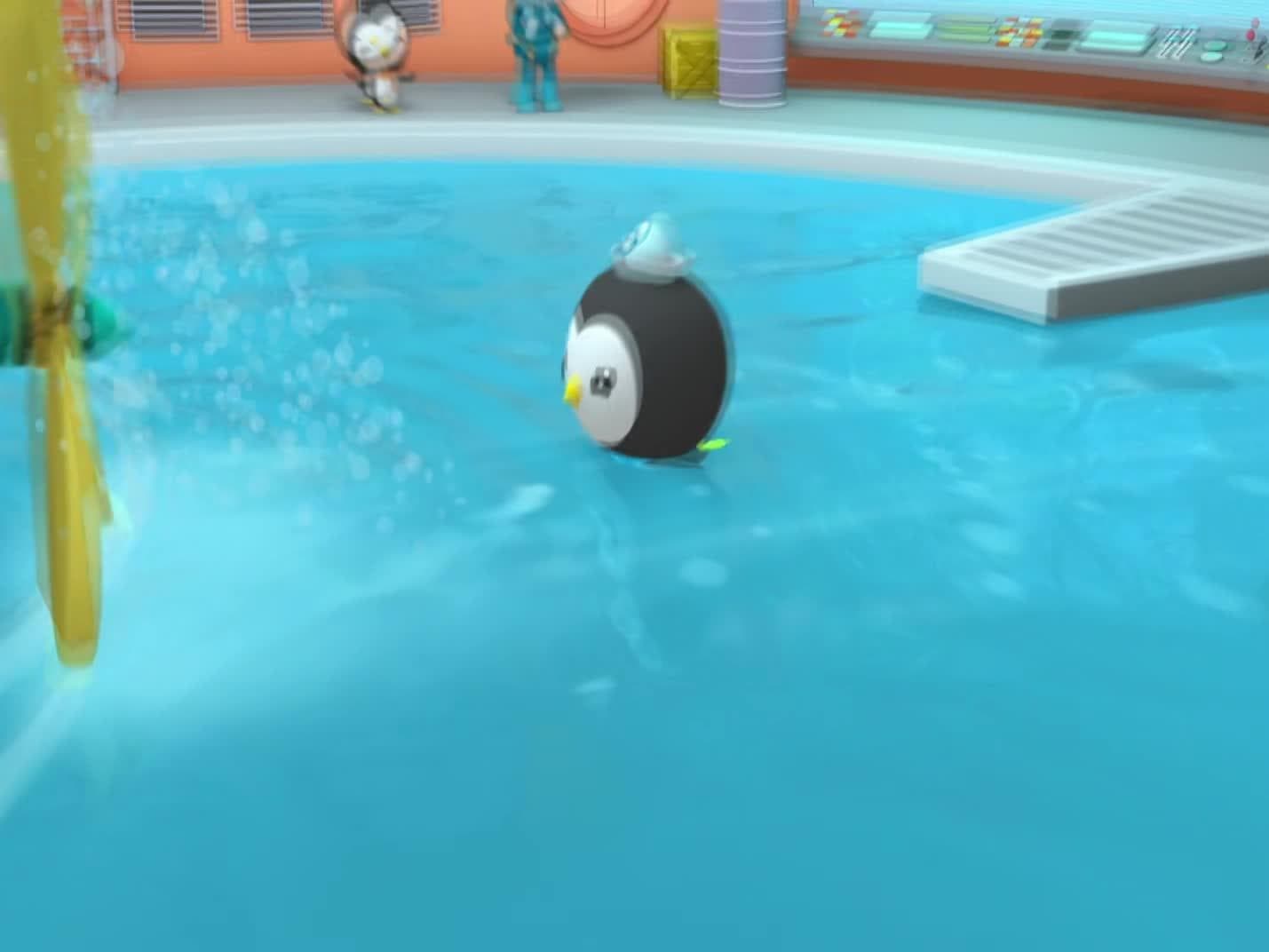 The Great Penguin Race