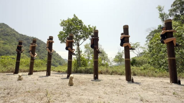 Episodio 7