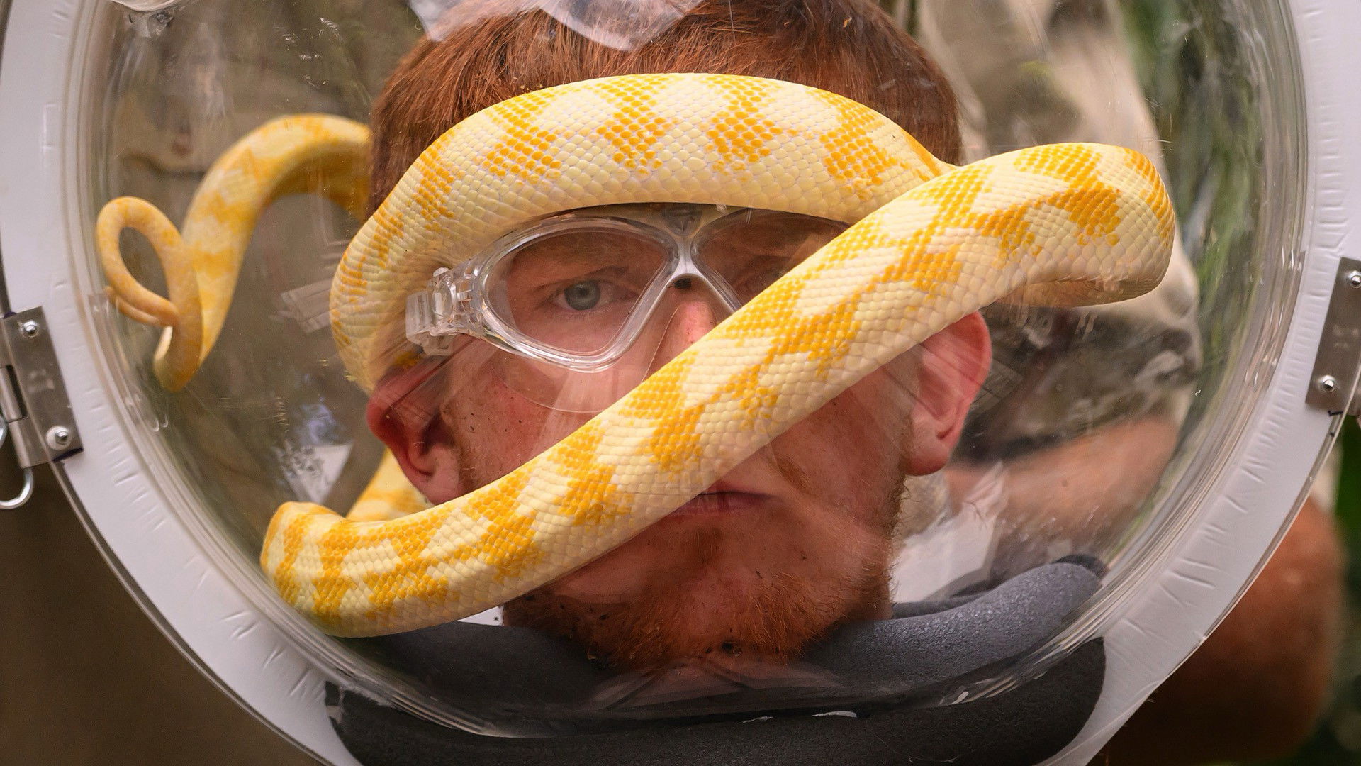 Episodio sin título