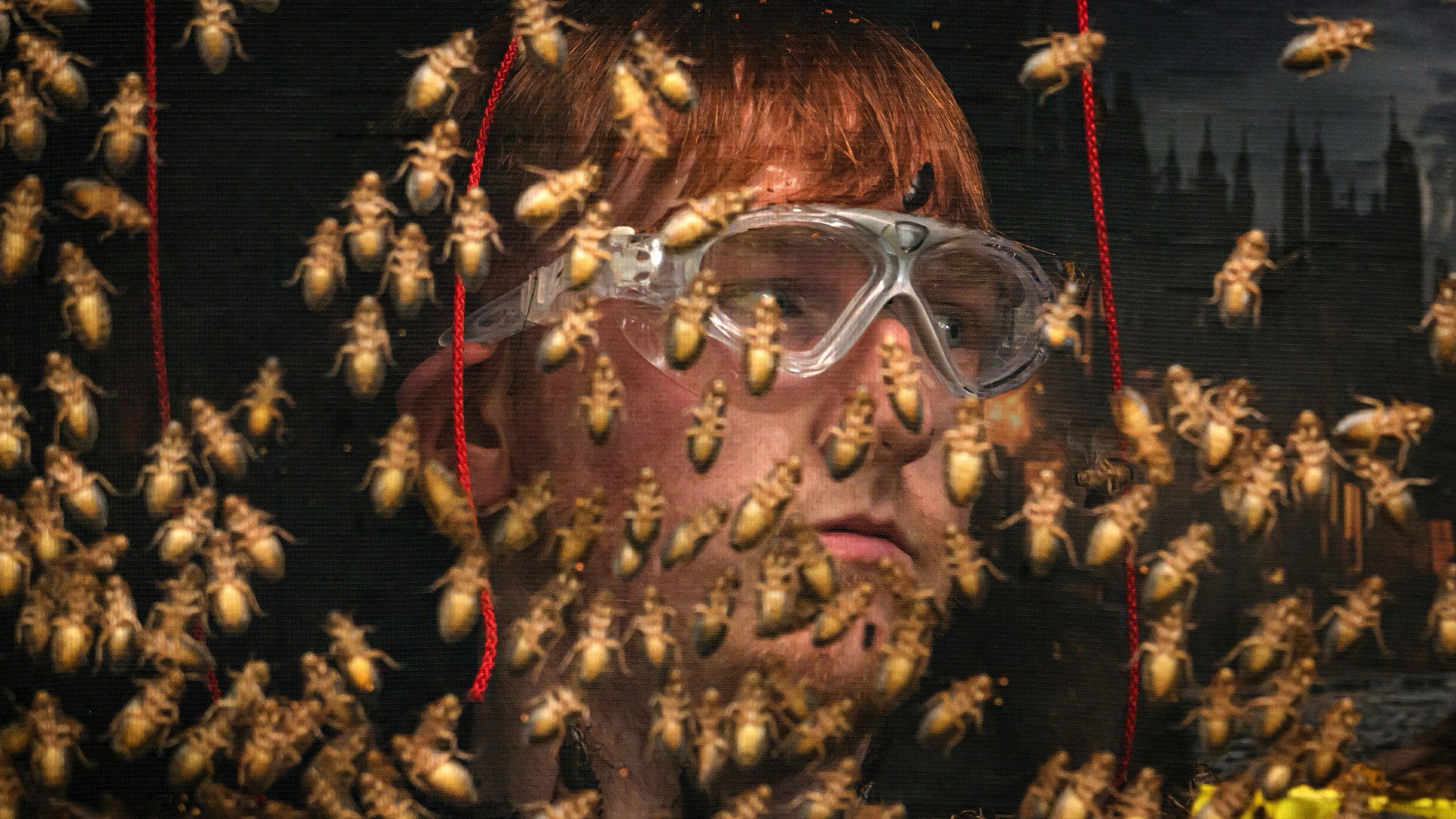 Episodio sin título