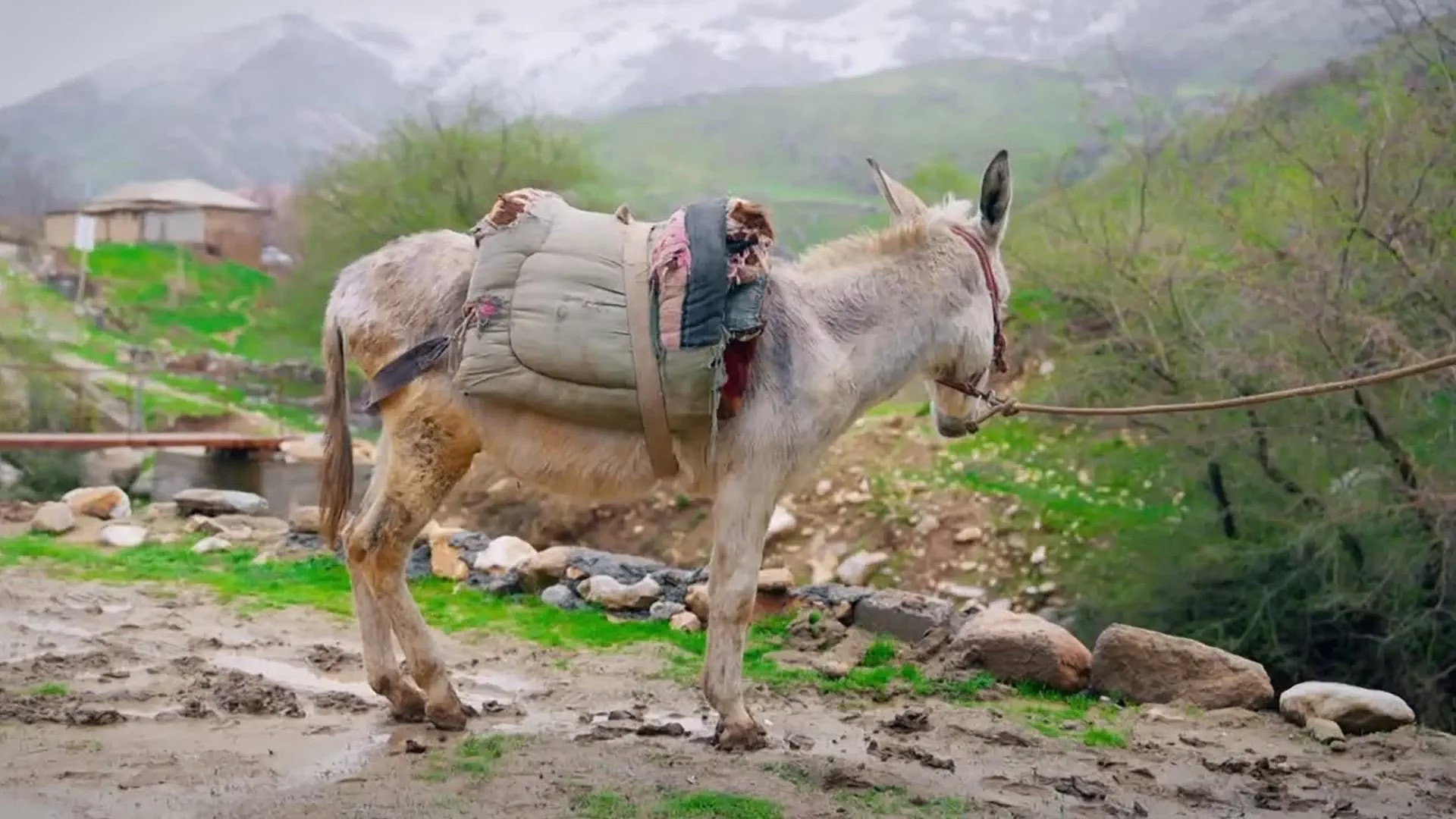 Episodio sin título