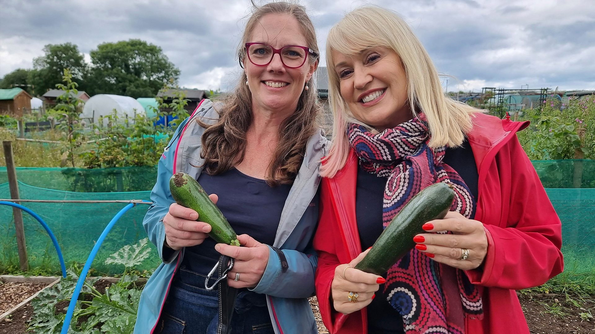 Episodio sin título