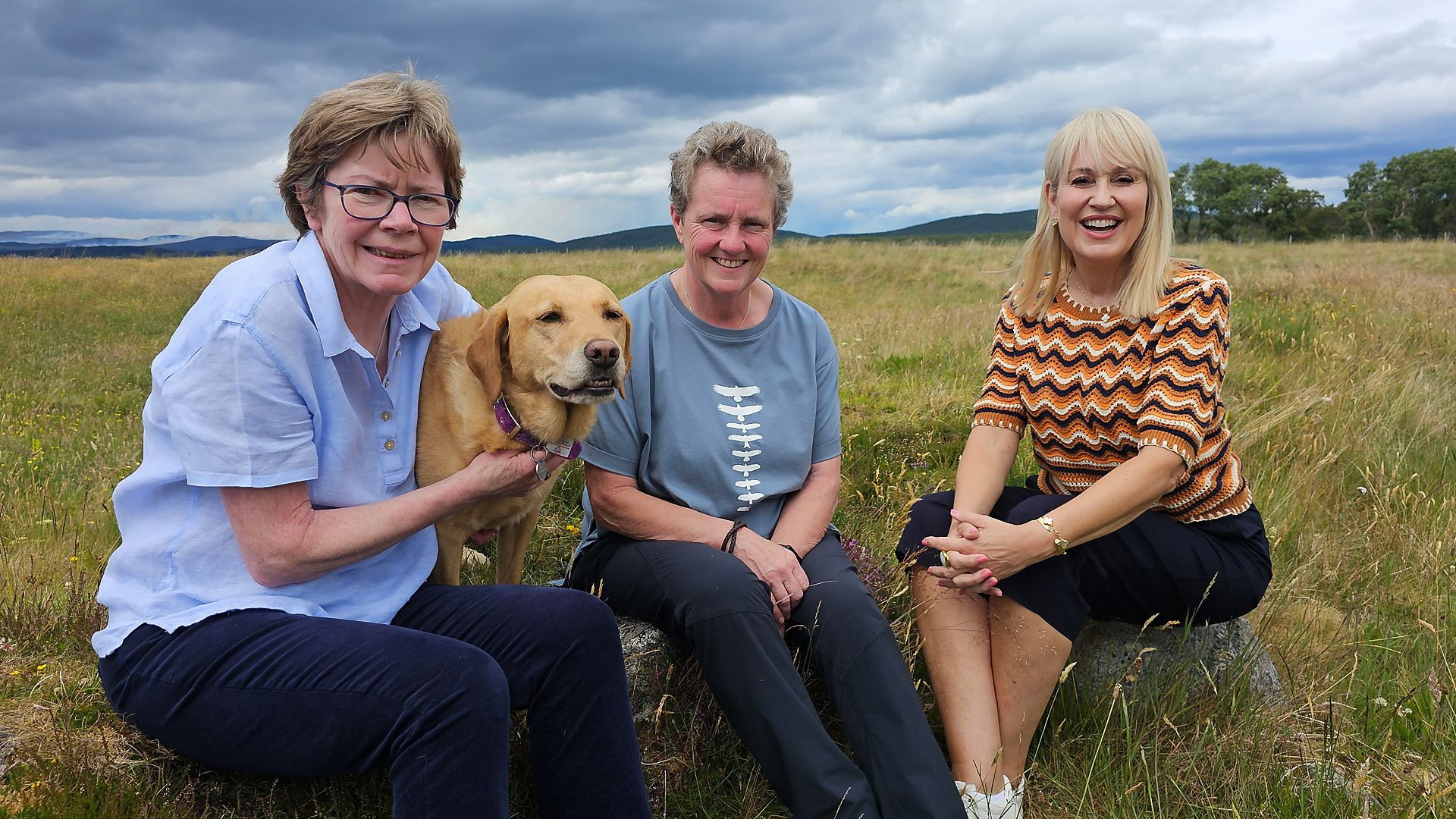 Episodio sin título