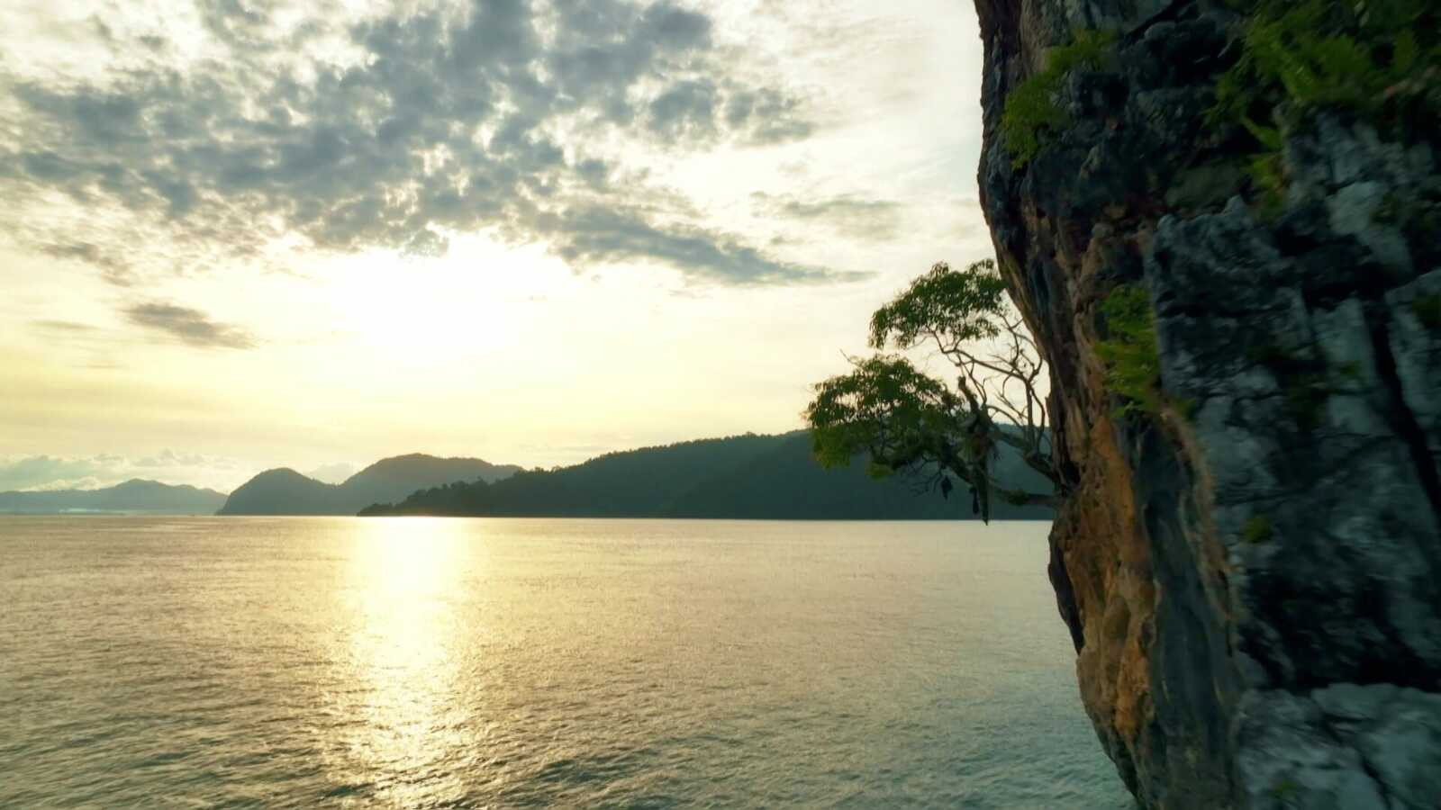 Episode 1