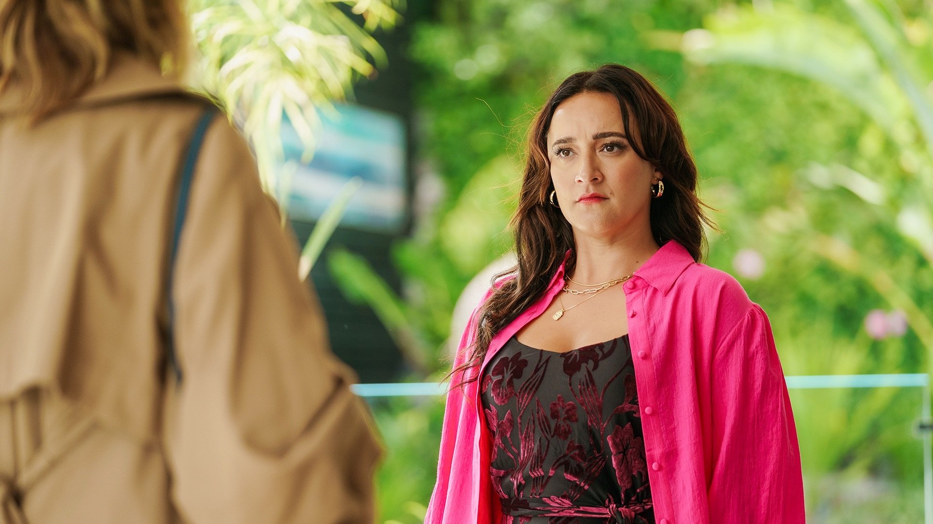 Por el amor de un perro