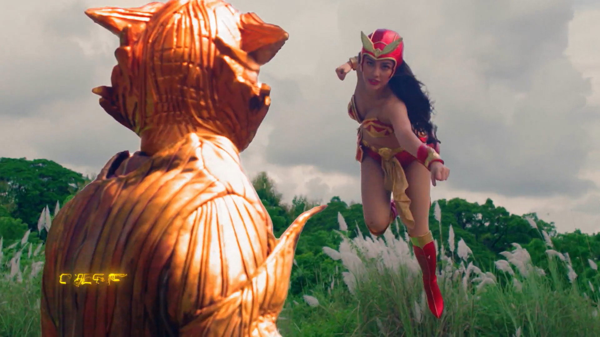 The Protector