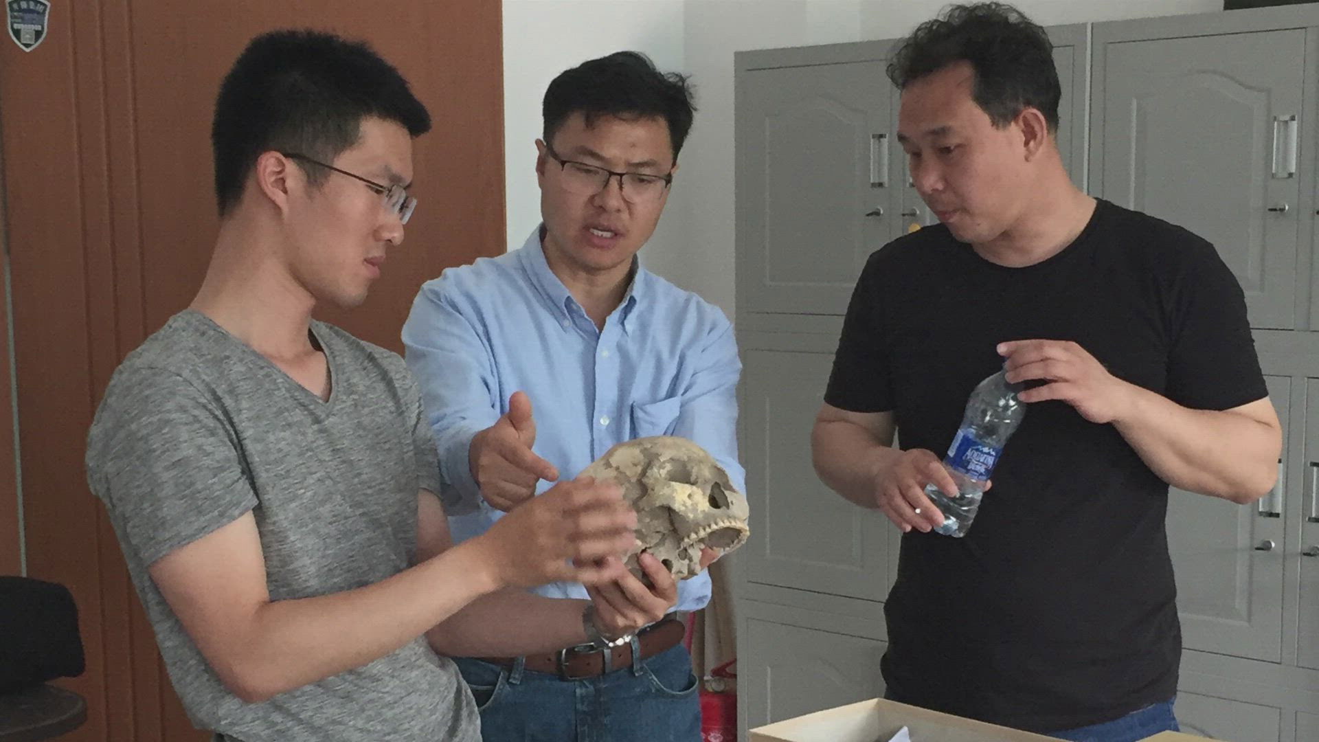 Cráneos de los dioses