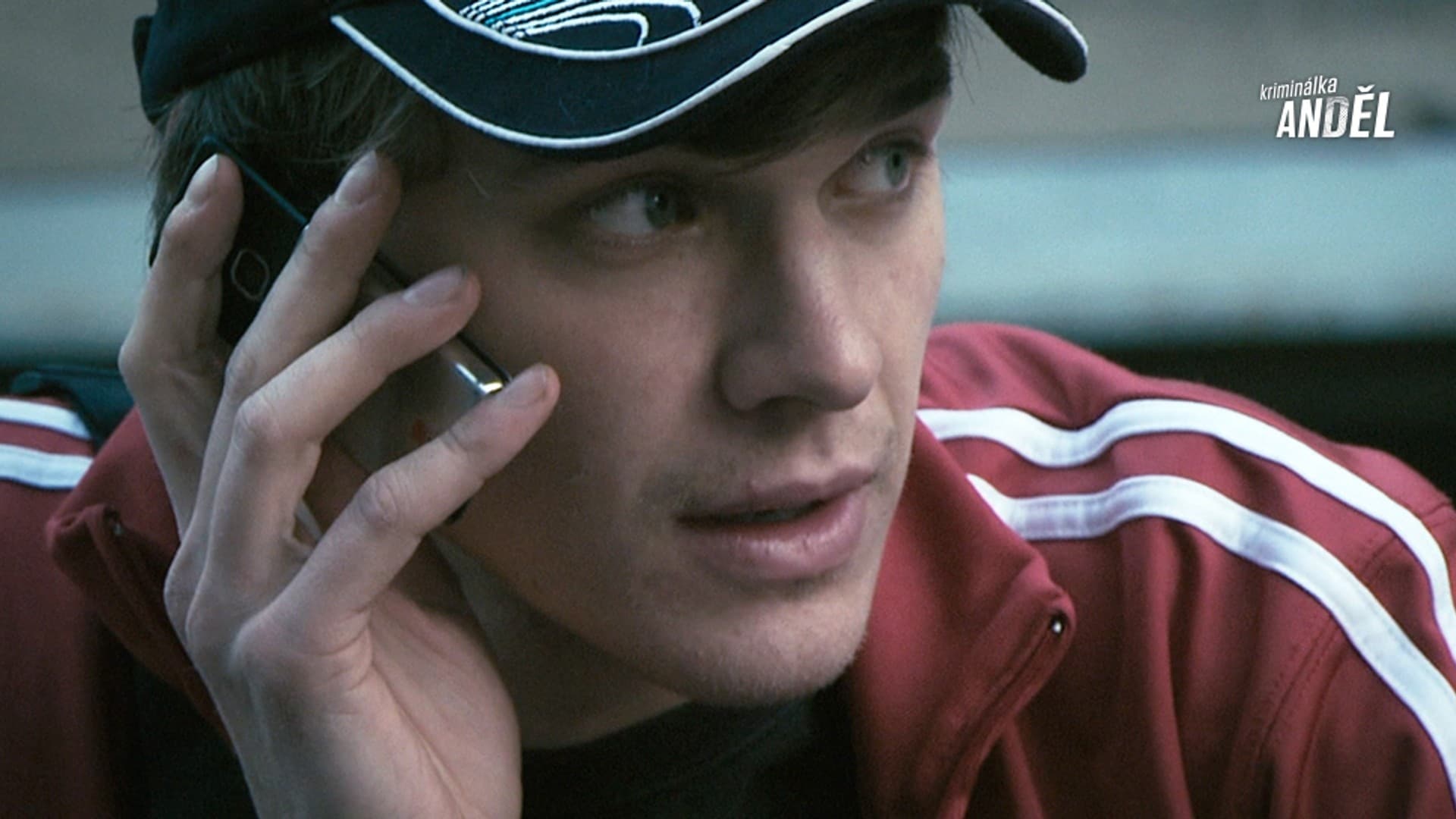 Korunn&iacute; princ