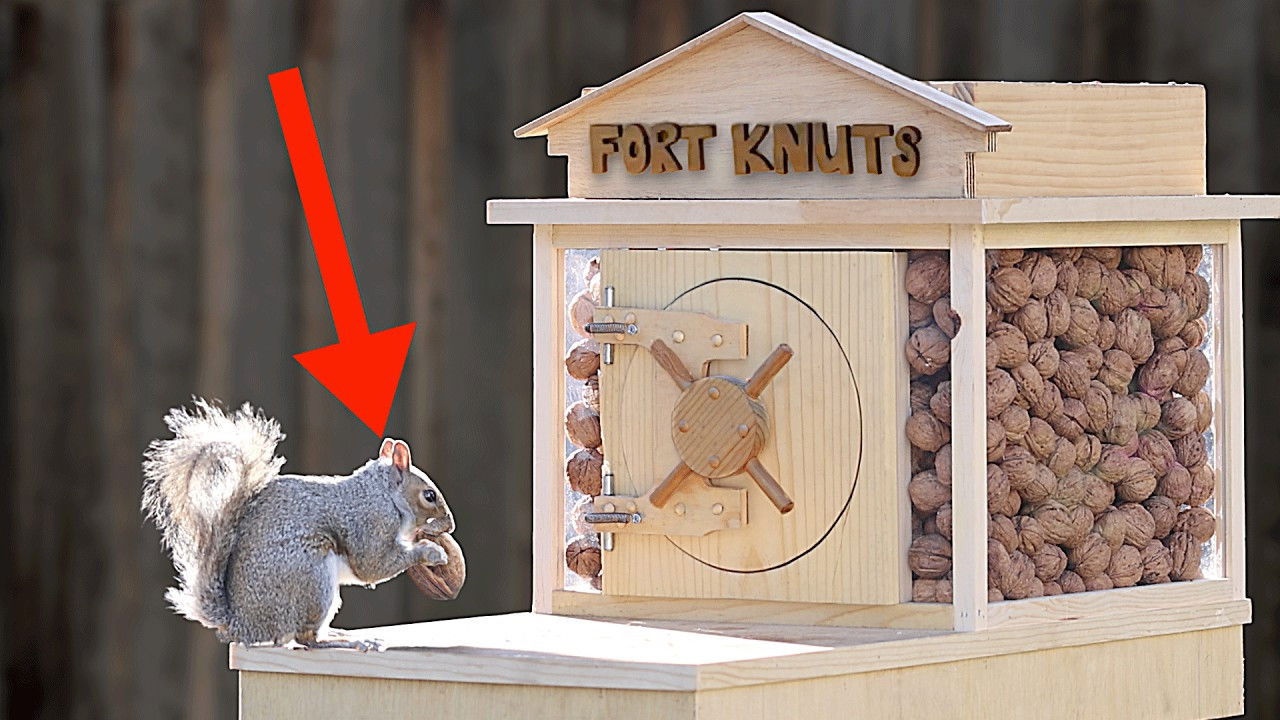 Ardilla de patio trasero 2. - Robo al banco