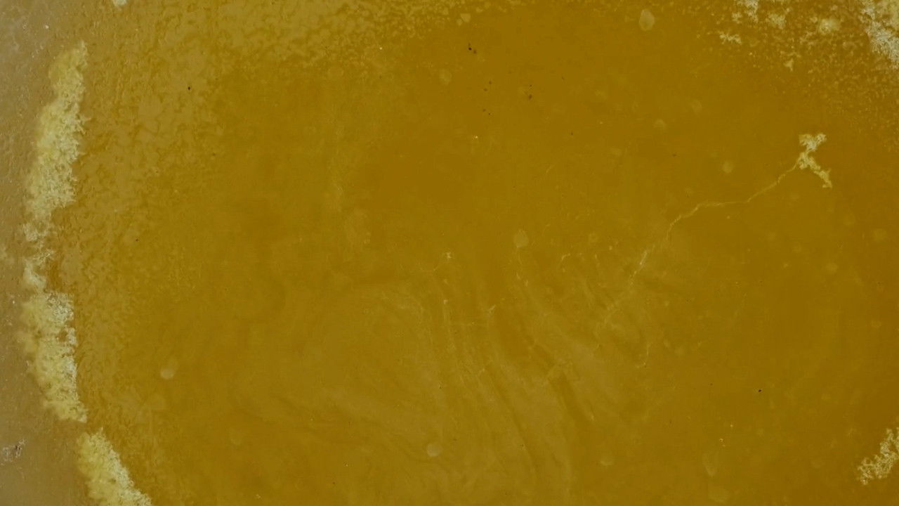 Episodio