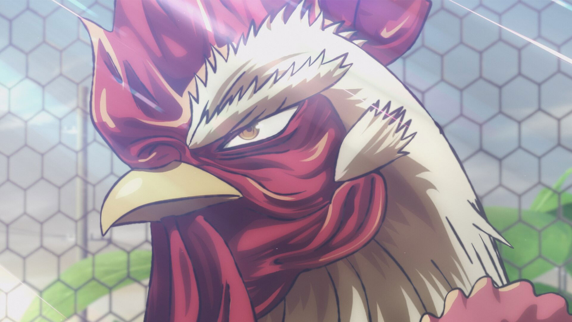 Un gallo entre grullas