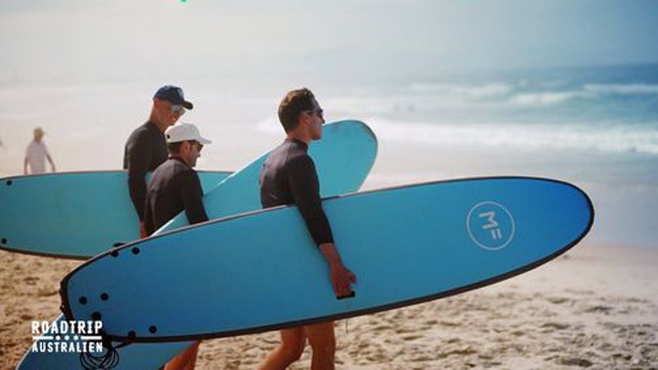 Ballenas, averías y surfistas